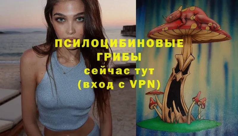 Псилоцибиновые грибы Magic Shrooms  Уяр 